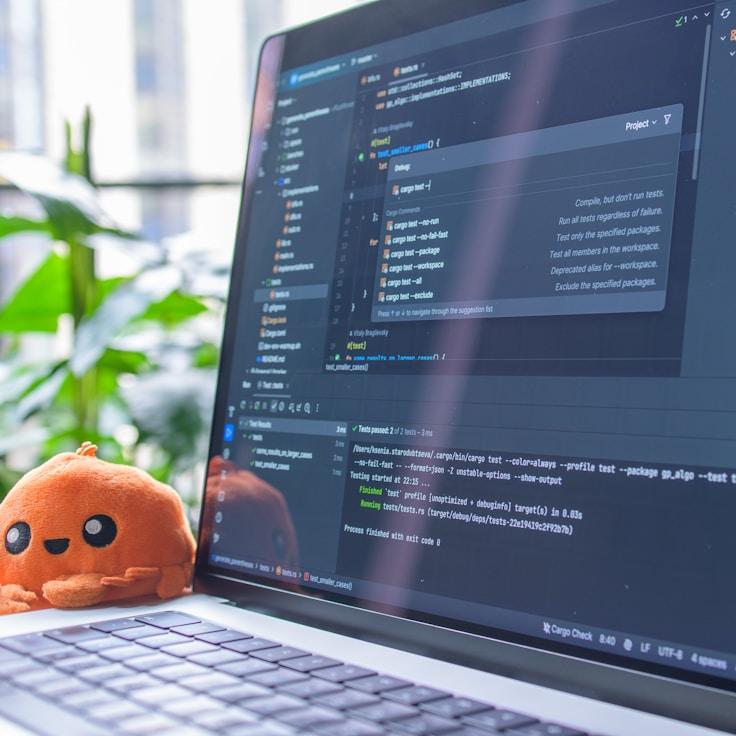 iOS application development process